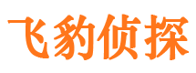 滨江市侦探公司